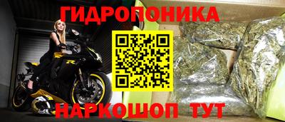 мяу мяу мука Будённовск
