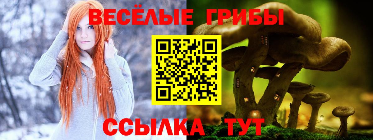 Галлюциногенные грибы мухоморы Усолье-Сибирское